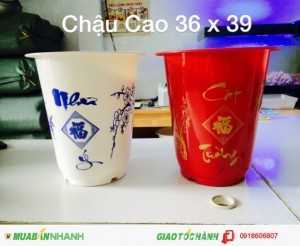 Chậu hoa nhựa Thakico Sản Xuất Chậu Nhựa giả sứ in bông Như Ý Cát Tường