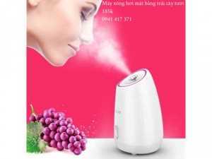 Máy xông hơi mặt bằng trái cây tươi