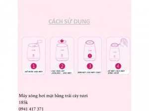 Máy xông hơi mặt bằng trái cây tươi