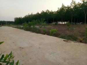 Còn một miếng duy nhất cần bán đối diện khu công nghiệp Đồng Xoài 2 đi vào 100
