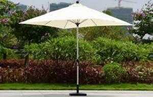 Dù chính tâm giá rẻ