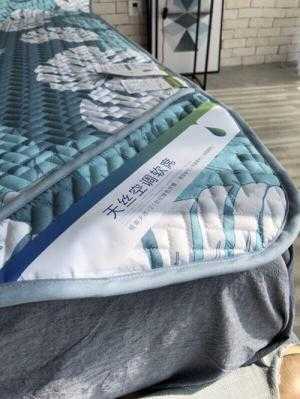 Chiếu lụa Tencel và 2 vỏ gối hình lá khoai có cho giường 2mx2m2