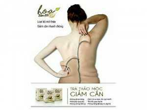 Trà Giảm Cân Hoa Sâm Đất
