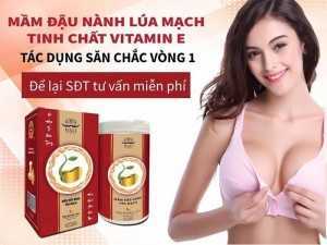 Mầm E