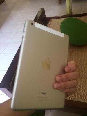 Bán Ipad mini 2