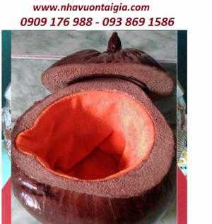 Vỏ bình giữ ấm bình trà bằng trái dừa giữ nhiệt có lót nhung đỏ