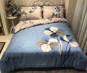 Bộ chăn ga gối cotton 100% princess, cực mát