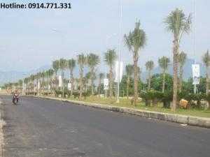 Bán đất biệt thự 250m2 dự án Golden Hills