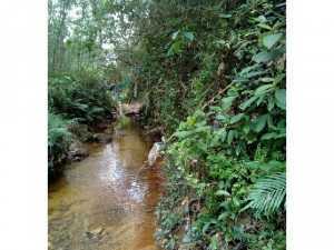Bán đất đang chờ làm sổ đỏ