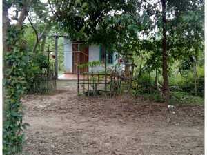 Bán đất