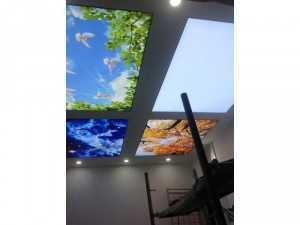 trần xuyên sáng 3d Tâm phương