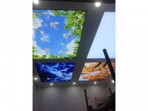 trần xuyên sáng 3d Tâm phương