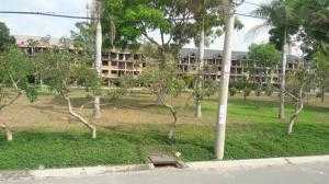 Đất nền trong cụm khu công nghiệp Tân Đức, SHR