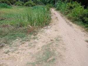 Nhà và đất