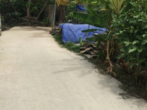 Bán đất chưa thổ cư an thạnh 34(an sơn )