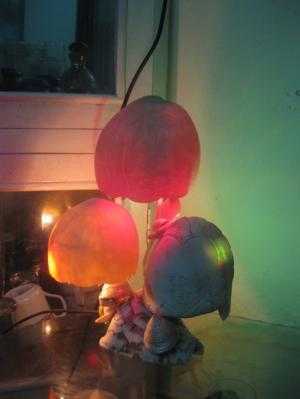 Đèn ngủ ốc biển Nha Trang