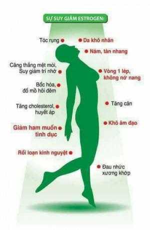 Mầm Đậu Nành Yến Mạch Halispa Vitamin E