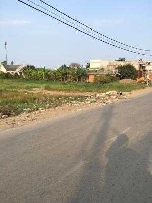 Bán gấp lô đất 360m2 xã Tân QUÝ Tây, Bình Chánh