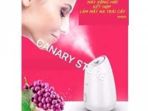 Máy xông mặt hoa quả