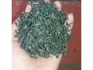 500g trà nõn tôm- đặc sản thái nguyên
