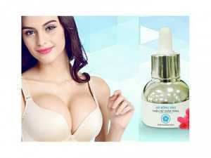Gò bồng đảo thiếu nữ xuân hồng