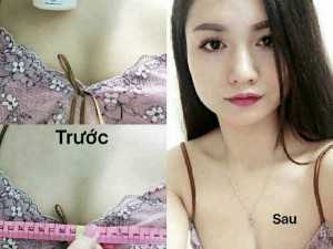 Gò bồng đảo thiếu nữ xuân hồng