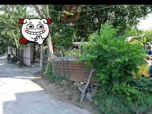 Bán lô đất giá rẻ kiêt oto trường chinh