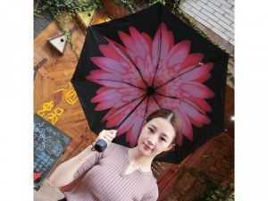 Ô gấp ngược thông minh