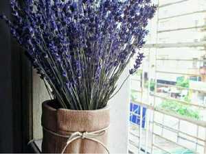 Nồng nàng nước Pháp