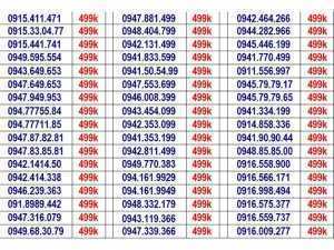 Sim vina 10 số đẹp