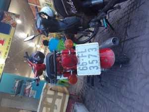 Cub cánh én đời 1980 dọn kiểng rất đẹp