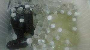 Nước Sâm rong biển thanh lọc cơ thể mát gan giải độc 400ml