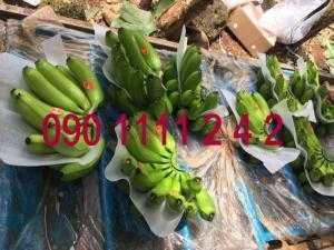Mút xốp lót chuối tại TpHCM, Bình Dương, Đồng Nai