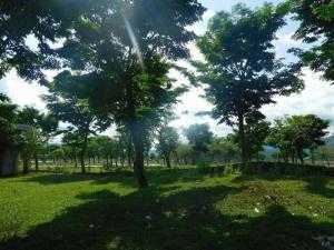 Bán đất Golden Hills - dạng hợp đồng - giá đầu tư