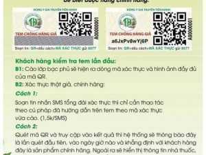 Giảm cân đông y Tiến Hạnh