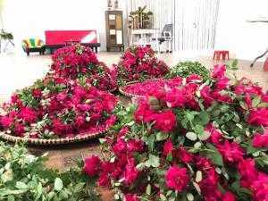 Nhà xưởng Karose