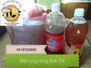 Mật ong rừng Bok Tới Bình Định uy tín, chất lượng