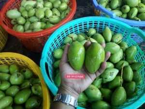 Xoài non chua lè ăn với ruốc
