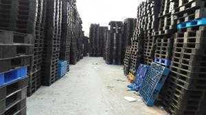 Mua bán pallet nhựa Vĩnh Phúc, pallet nhựa cũ Vĩnh Phúc
