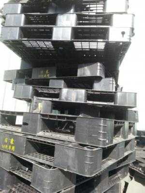 Mua bán Pallet nhựa Hải Phòng, pallet nhựa cũ Hải Phòng