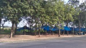 Bán 93 Ha Cao Su Hớn Quản Bình Phước