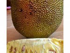 Lực phạm chuyên đổ buôn số lượng lớn
