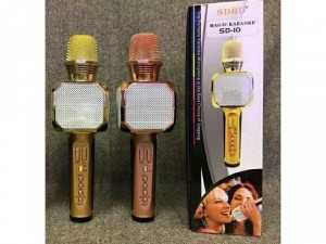 Micro karaoke SD10