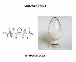 Collagen type II