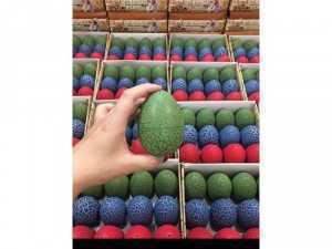 Đồ chơi trứng khủng long