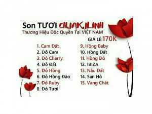 Son cao cấp chính hãng