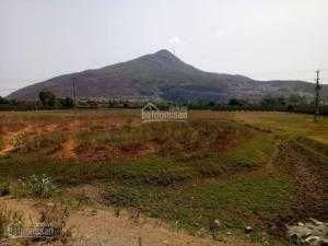 Cần bán 11588m2 đất xây dựng cơ sở sản xuất kinh doanh