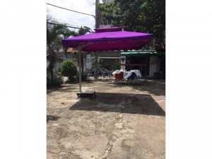 Dù lệch tâm che mát giá rẻ