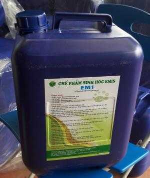 Bán chế phẩm EM1, EM gốc sử dụng trong chăn nuôi, nuôi trồng thủy sản, trong trồng trọt
