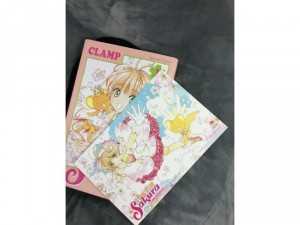 Cardcaptor Sakura ( Thẻ bài pha lê)